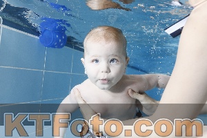 Photo 4265050