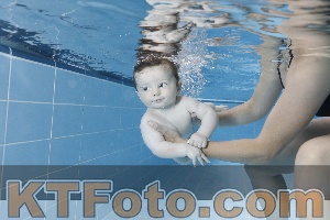 Photo 4265051