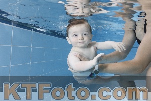 Photo 4265052