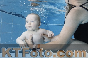 Photo 4265053