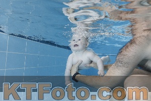 Photo 4265054