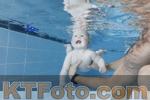 Photo 4265055