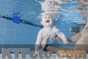 Photo 4265056