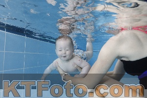 Photo 4265057