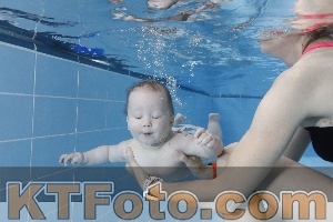 Photo 4265058