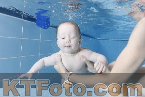 Photo 4265059