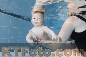 Photo 4265061