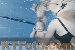 Photo 4265062