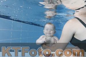 Photo 4265063