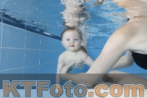 Photo 4265065