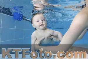 Photo 4265066