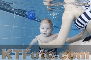 Photo 4265067