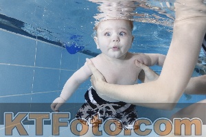 Photo 4265068