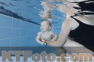 Photo 4265071