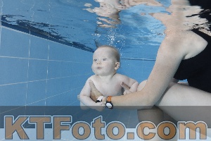 Photo 4265072