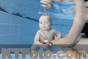 Photo 4265073