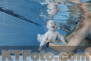 Photo 4265074