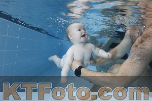 Photo 4265075