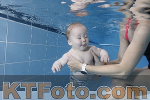 Photo 4265077