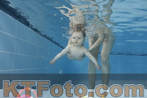 Photo 4265124