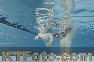 Photo 4265135