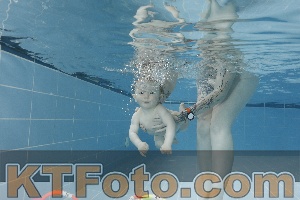 Photo 4265136