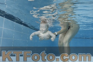 Photo 4265138