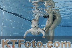 Photo 4265139