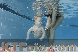 Photo 4265140