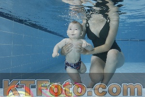 Photo 4265144
