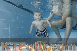 Photo 4265153