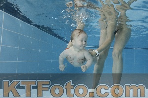Photo 4265162