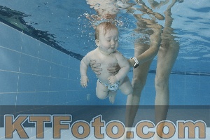 Photo 4265163