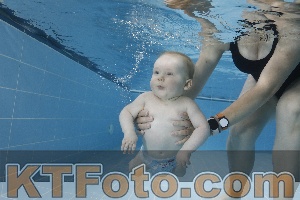 Photo 4265166