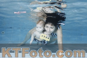 Photo 4265213