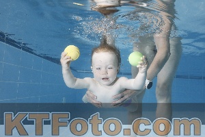 Photo 4265318