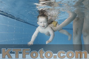 Photo 4265324