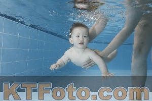 Photo 4265325