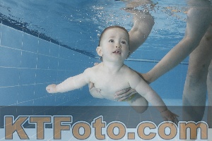 Photo 4265326