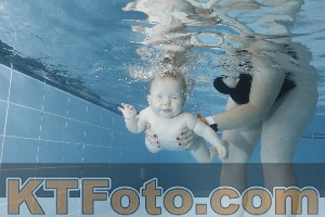 Photo 4265329