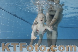 Photo 4265332