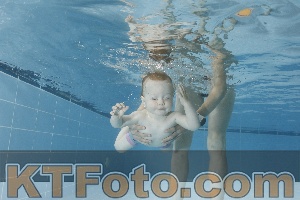 Photo 4265335