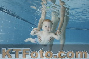 Photo 4265337