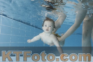 Photo 4265342