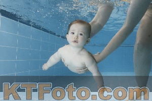 Photo 4265343