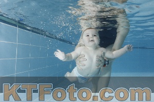 Photo 4265346
