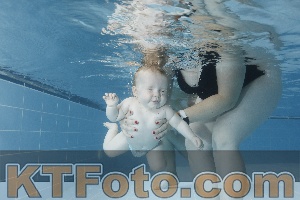 Photo 4265347
