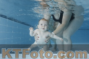 Photo 4265348