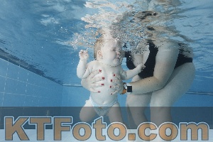 Photo 4265352