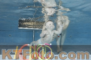 Photo 4265373